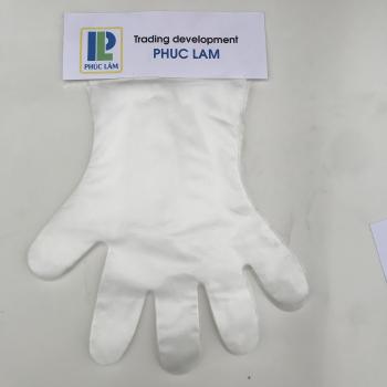 CPE/ TPE Glove packing in box