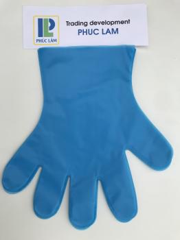 Blue CPE/ TPE Glove