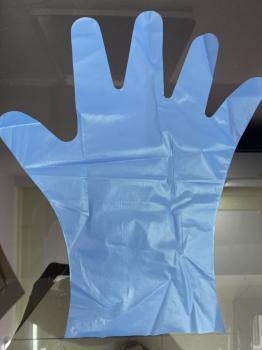 Blue CPE/ TPE Glove